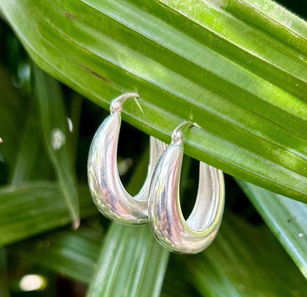 Timeless Oval Hoops